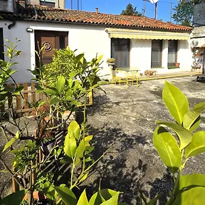Anna's Garden Venise